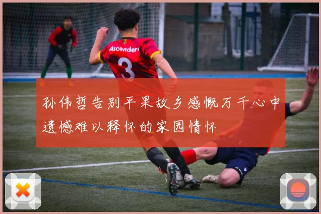 孙伟哲告别平果故乡感慨万千心中遗憾难以释怀的家园情怀