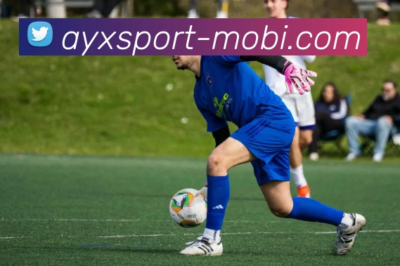 爱游戏平台生态图